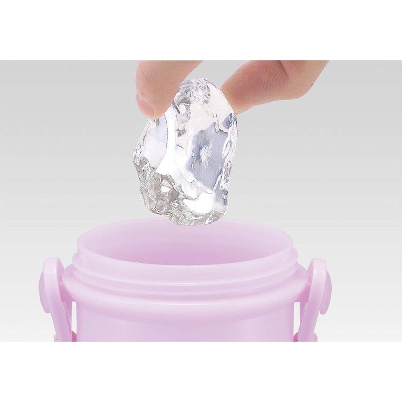 スケーター (skater) 子供用 プラスチック 水筒 ラプンツェル ディズニー 2020年 新デザイン 480ml