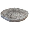 Solid Rock Stoneworks Sand Dollar Stepping Stone- PreAged