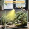 Turtle Basking Light (Cycle Timer), Tortoise Lamp UVA UVB Heat