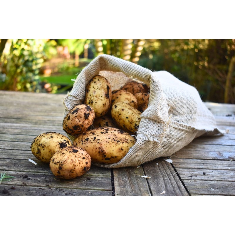 Nutley's Strong & Durable Hessian Jute Potato Sacks 30cm x