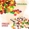 Freeze Dried Candy Skittles 1lb (16oz) Rainbow Candy - Ships