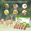 MAGIC CAT® Deers and Rabbit Repellant for Plants, Garden, Trees,