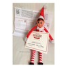 Elf says Goodbye with a Nice Certificate post card Prop