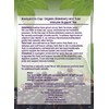 Dr Nettles Natural Beauty Elderberry and Tulsi Immune Boosting Tea