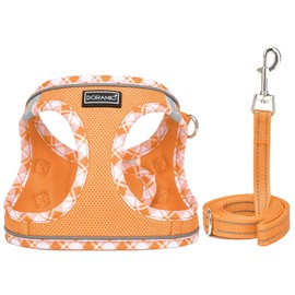 DORAMIO Step-in Dog Harness and Leash Set, Soft Mesh No-Chock Reflective Breathable Easy Walk Lightweight Vest Harnesses with Safety Buckle for Small Dogs, Cats, Puppies (Orange, XXS)