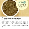 Chatsumi no Sato Domestic Biwa Tea Bag 0.1 oz (3