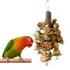 WEILFYONK Parakeet, Toy Bird, Toy Bird Perch, Parrot, Toy Literature