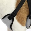 AKC Premium Padded Step-in Dog Harness – Soft Comfort Fit