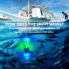 LONLEEYU LED Underwater Fishing Light, 2PCS Deep Drop LED Light