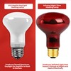 BULBMASTER Reptile Heat Lamp Bulbs - 50 Watts UVA Basking