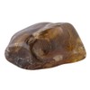 Earth Story Amber 8g piece smooth