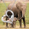 BEKECH Mother and Daughter Elephant Necklace I Love You More
