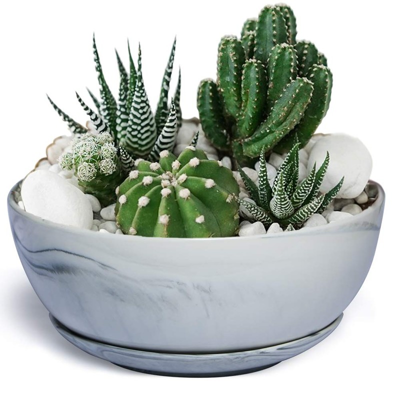 G EPGardening 10Inch Large Planter Marble Pattern Ceramic Succulent Planter