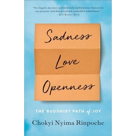 Sadness, Love, Openness: The Buddhist Path of Joy