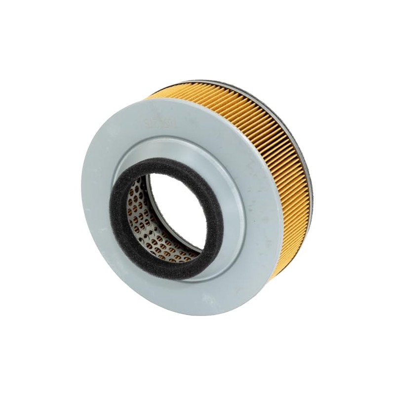 Hiflofiltro HFA2911 Filtro de Aire Premium OE de Repuesto Negro