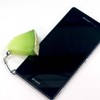Food Sample Strap 112OS