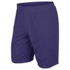 CHAMPRO Boys' Dynamic Tricot Mesh Shorts, Purple, X-Large