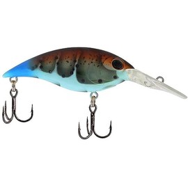 Money Badger - 6.25CM KLCR