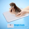 LCD Digital Scale ON Tare Function Low Battery Locking Alarm