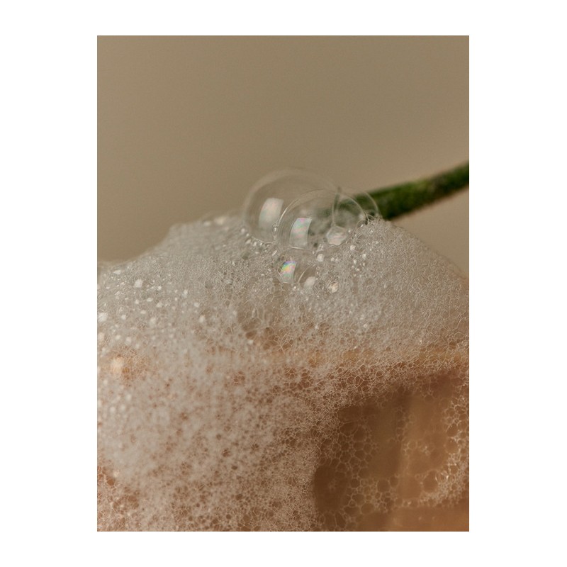 Conditioning Shampoo Moroccan Gardner Large Capacity 750ml / 컨디셔닝 샴푸