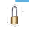 Yale Y110B/30/132/1/B Brass Padlock 30 mm LS Piece 1 Box,