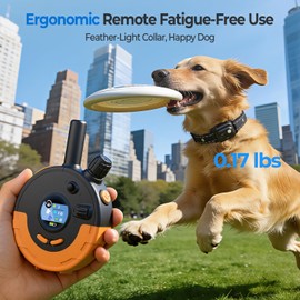 RPZ Dog Shock Collar 2 Dogs with Remote, 3300FT Dog Training Collar, Orange