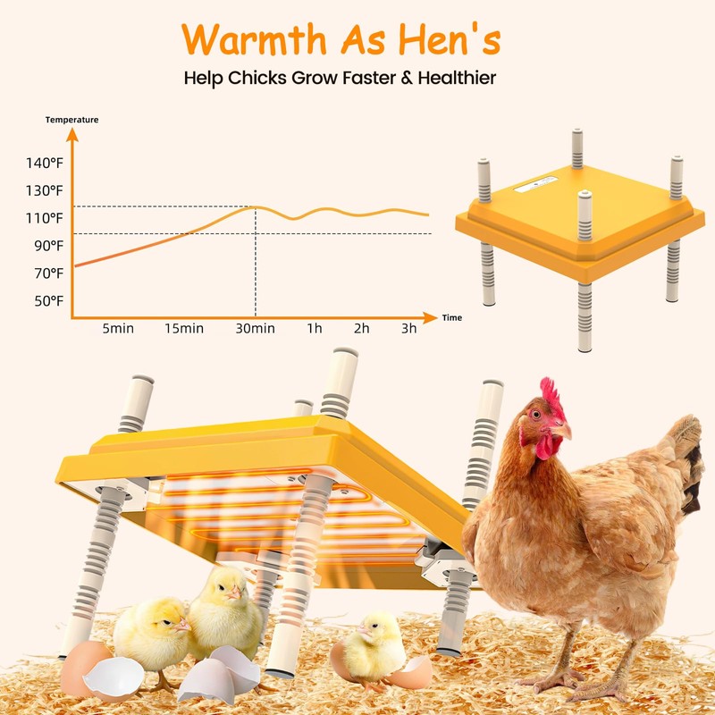 Brooder Heater for Chicks, 10 x 10 Inches Chicken Brooder