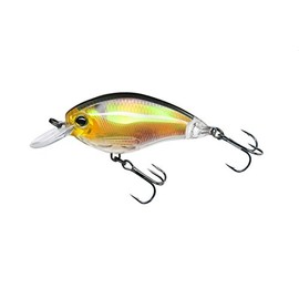 Yo-Zuri 3DR Shallow Crank Floating Lure, 2", Real Golden Shiner