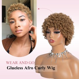 Style Icon Short Afro Curly Hair Wig for Black Women Human Hair Pixie Cut Afro Curl Wig Full and Fluffy Natural Looking Glueless Wear to Go Blonde Color (27)