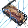 AirFly Real Dried Squid Bait for Crab Snares & Traps,