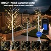 3PACK Lighted Birch Tree 4FT 5FT and 6FT, Smart White