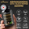 Organic Ashwagandha with Black Pepper | 2600mg Daily Dose |