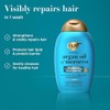 OGX, Shampoo Renovador de Aceite de Argán, 385 ml