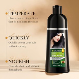 EHIOG Black Hair Dye Shampoo 3in1 – Haarfärbeshampoo gegen Graue Haare mit Arganöl, Farbshampoo für Männer & Frauen – Semi-permanente Schwarze Haarfarbe, 400ml