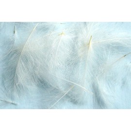 Hareline Dubbin - 1g CDC (Cul de Canard) Feathers - NATURAL WHITE - Fly Hook - 1 Piece