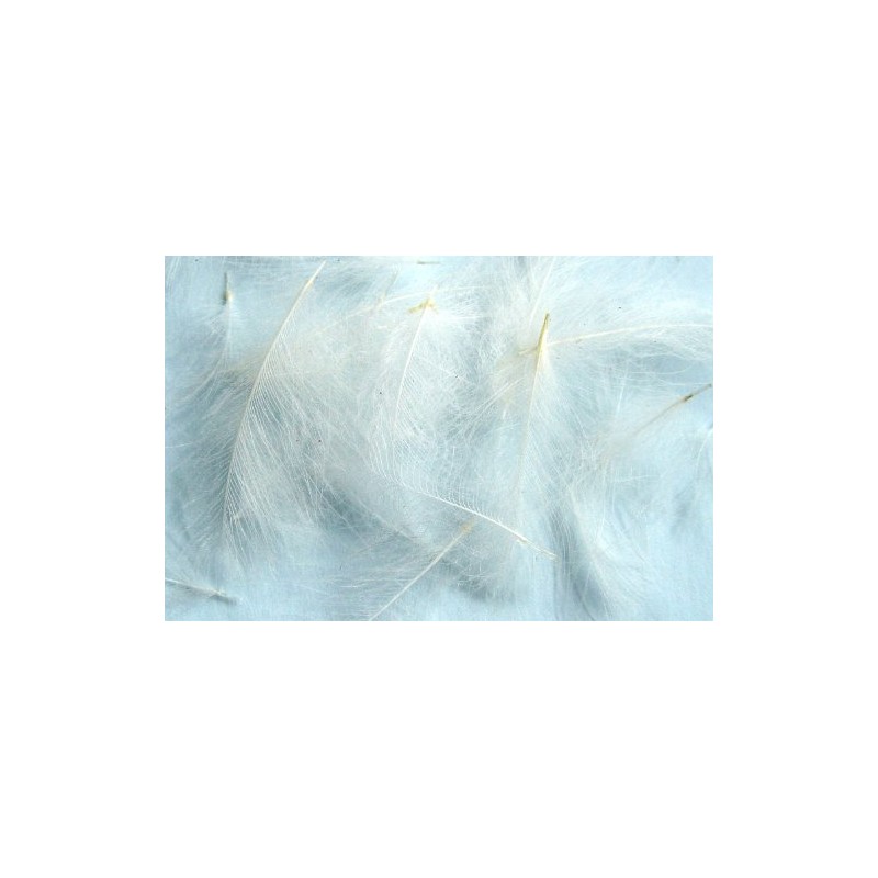 Hareline Dubbin - 1g CDC (Cul de Canard) Feathers -