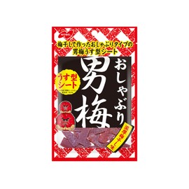 Nobel Confectionery Pacifier Male Plum Sheet 0.4 oz (10 g) x 6 Bags