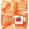 1000 PACK APPLE BRAND BAGGIES MINI 2mil CLEAR BAGS 1000