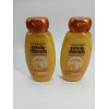 Garnier (Lot Of 2) Garnier Whole Blends Honey Treasures Repairs