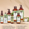 Yves Rocher MAXI SET Corporal aroma OLIVA Y NARANJO: Crema
