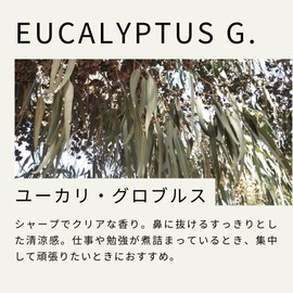 Tree of Life Eucalyptus Globuls Essential Oil 10ml Essential Oil Aroma Oil