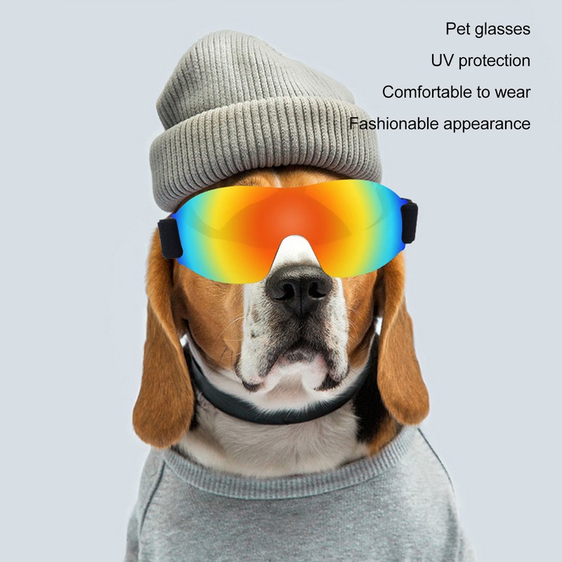 Dog Goggles Wind Sand UV Protection Eye Protection Adjustable Dog