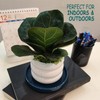 Fzfeiyy Ceramic Plant Saucer 5 Inch, 2 Pack Round Plant