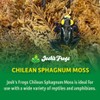 Josh's Frogs Chilean Sphagnum Moss (100g Bag)