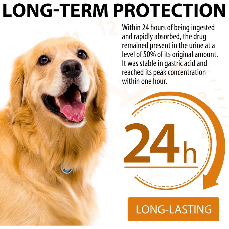 Quercetin for Dogs - Allergy Relief Support - Liquid Drops