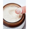 미샤 비폴렌 리뉴 크림, 50ml, 1개 Missha Bee Pollen Renew