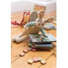 Ragtales R324 Alfie Rabbit Bay Collection 13' Soft Toy (35cm),