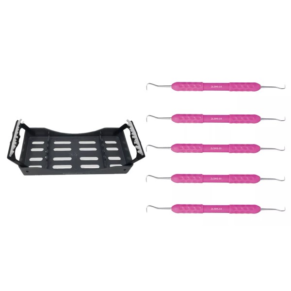 OSUNG Dental Scaler H5-33 Comfort Edition with Cassette 5 pcs