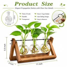 Renmxj Plant Propagation Station, Plant Terrarium with Wooden Stand