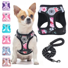 BEAUTYZOO Step in Dog Harness and Leash Set, Floral Pattern Reflective Dog Harness No Pull No Choke Puppy Harness for XXS XS S Dogs Cats, Soft Padded Mesh Vest Harnesses for Girl and Boy Pets